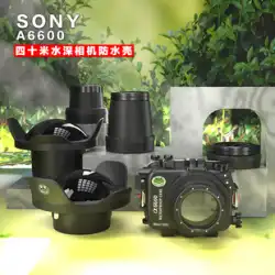 ソニーソニーA6600マイクロシングルカメラダイビング防水シェルに適したシーフロッグシーフロッグ水中HD写真