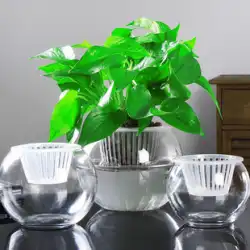 創造的な水耕植物ガラス花瓶透明水緑大根植木鉢コンテナ花瓶配置丸い球形の魚のタンク器具