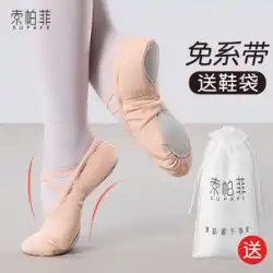 ダンスシューズ女性の柔らかい底古典的な中国の子供用バレエ特別な女の子のダンスシューズは大人の猫の爪ピンクの夏を練習します