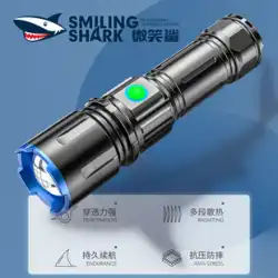 スマイルシャークイエローライト懐中電灯強力なライト充電超明るい家庭用LED屋外長距離懐中電灯魚用の特別なライト