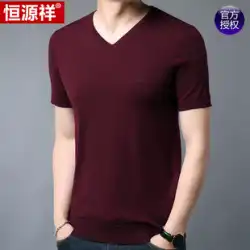 Hengyuanxiang半袖TシャツメンズセーターVネック100％ピュアウールセーター中年と若い無地ニットボトミングシャツ紳士服