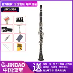 ShunfengJinbaoブランドJBCL-530B-ダウン17キー高音クラリネット黒風木管楽器BB初心者