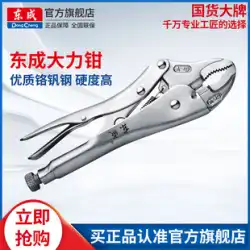 Dongcheng家庭用ハンドツールプライヤー多機能フォースプライヤークロームバナジウム鋼フォースプライヤー10インチプライヤーツール