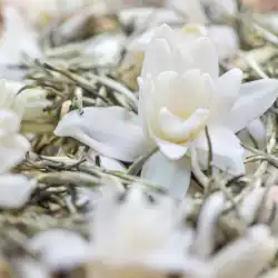 09-チューベローズ緑茶/LEAF60g＠クチナシとチューベローズの花を合わせて、ぎくしゃくしたキルスを作ります
