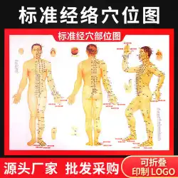 ZhenwanAiツボマップ灸療法マップ人間経絡カッピングマッサージスクレーピングホーム灸マップ工場卸売