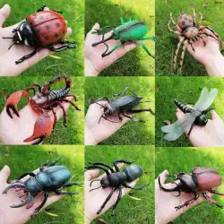 シミュレーション昆虫小動物おもちゃアリコオロギクモサソリてんとう虫トンボシミュレーション動物モデル