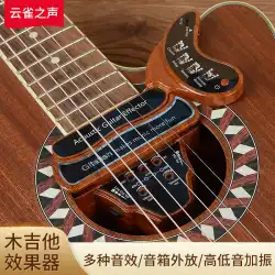 Gitafish Acoustic Acoustic Acoustic Acoustic Guitar Sound Hole Pickup Free Opening 2 Horns Chorus Delay Reverb