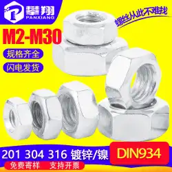 304ステンレス鋼ネジナットボルトナット六角六角ナット亜鉛メッキM3/M4 / M5 / M12M16DIN934