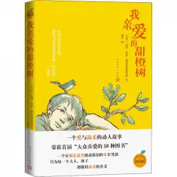 JoséMaurodeVasconcelosによるMyDearSweet Orange Tree（Brazil）、Wei Lingによる翻訳、外国の近現代文学