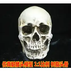 ハロウィーンゴーストフェスティバル用品卸売1：1人間の頭蓋骨モデル医療頭蓋骨樹脂頭蓋骨古い