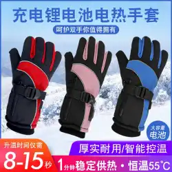 暖房用手袋usb充電式自己暖房暖房用手袋女性用充電式電気暖房電気自動車暖房用手袋新製品