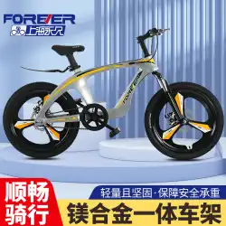 上海パーマネントブランド20インチ22インチマグネシウム合金子供用マウンテンバイクダブルディスクブレーキ一輪子供用ビッグ子供用自転車