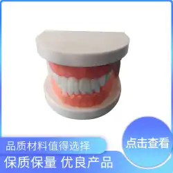 オーラルヘルスケア歯モデル歯歯科材料標準ソフトレセプタクル抜歯歯科モデル器具