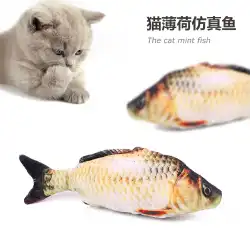 アマゾン新しいペット猫おもちゃぬいぐるみ魚クルーシアンコイキャットニップシミュレーション魚面白い猫おもちゃスポット卸売
