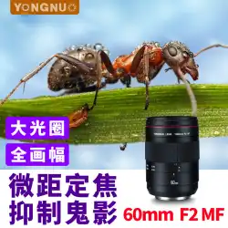 Yongnuo YN60mmF2MFマクロプライムレンズフルフレームマニュアルフォーカスキヤノン一眼レフカメラプライムヘッドフラワージュエリー昆虫ジュエリーマクロ写真静物
