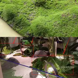 シミュレーション植物舗装偽芝芝生人工偽苔芝ショッピングモール屋内窓造園装飾