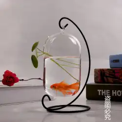 透明なガラスの花瓶の花の水槽の水槽をぶら下げて新しい創造的なヨーロッパスタイルの苔のマイクロランドスケープ