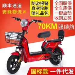 Yijin二輪電動自転車小型電動二輪二輪大人48V電動自転車ダブルバッテリー車工場卸売