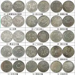 中国アンティークシルバーダラー卸売元ダトウ龍陽軍閥シルバーコイン記念コイン古代コイン外国コイン