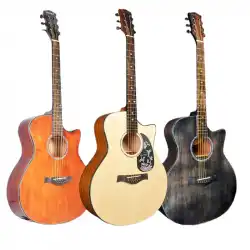 メーカーはローズウッドのベニヤギターを送り、アクセサリーのフルセット41インチ電気ボックス木製ギター民族楽器を送ります