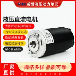 Weiboメーカー卸売パワーユニット電動フォークリフトオイルポンプモーターブラシ付きDCモーター12V24V