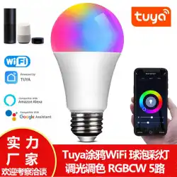 Tuyaスマートwifi＆Bluetooth電球zigbee音声APPリモコンRGBCW電球ライトHomekit