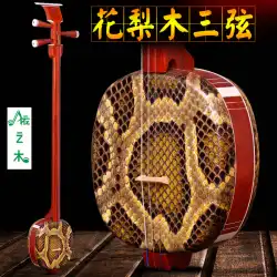 蘇州民謡楽器Honghualiグレーディングテスト用の小さな3弦楽器
