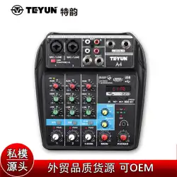 Teyun4ウェイスモールマイクデジタルミキサーDJライブKTVマイクレコーディングエフェクターミキサー機器