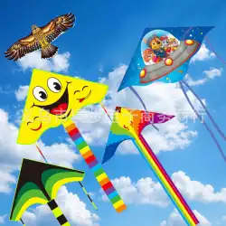 新しい大きな三角形の湾曲したエッジ凧子供用凧大人の大きな凧漫画凧景勝地卸売