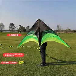 新しい草原の凧の羽ばたき尾大人の子供たちが飛ぶのが簡単濰坊工場直販初心者三角凧