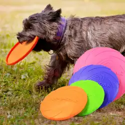 アマゾンの人気犬フリスビーゴールデンレトリバートレーニング犬用練習ペットのおもちゃかみ傷に強い柔らかいゴムUFOは浮くことができます