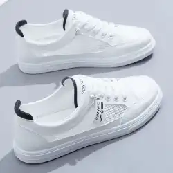メッシュ通気性のある白い靴2022年春秋新作韓国版学生用スケートボードシューズフラットカジュアルシングルシューズレディースシューズに代わって
