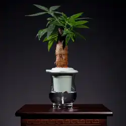 創造的な大根水耕栽培器具豊富な竹の花瓶ガラス透明な植木鉢水花植物デスクトップ装飾
