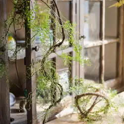 ジュハン黒骨芒シミュレーション花と緑の植物曲がりくねるつるシダ鉄線シダ装飾造園