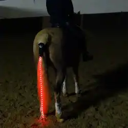 ソースメーカー国境を越えたアウトドアスポーツ馬具乗馬用品USB充電LED発光馬の尾ライト装飾ライトストリップ