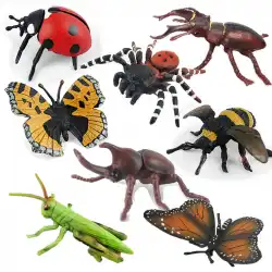 シミュレーション昆虫モデル蝶7つ星てんとう虫クワガタ蜂ユニコーン蜂蝶バッタバッタ子供のおもちゃの認知