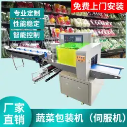 Hongshuo工場直接枕包装機自動野菜包装機メロン、果物、ジャガイモの袋詰め機設備