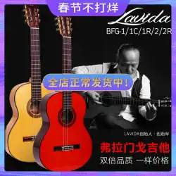 LavidaLabitaフラメンコフラメンコギターAgagisクラシックギターBFG-1BFG-2