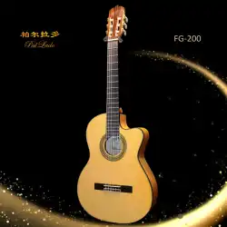 パラドFG-200Sアコースティックギター初心者エントリーフラメンコ