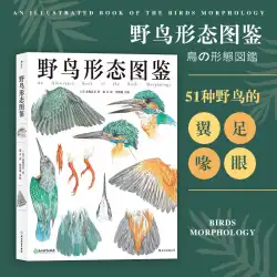 Houlang本物の野鳥の形態図ハードカバー版手描きの鳥のイラスト野生生物自然観察博物館生物科学の本紙鳥博物館