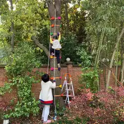 子供の初期教育体力ロッククライミング子供の身体能力感覚トレーニング登山登山用具おもちゃ登山木の神