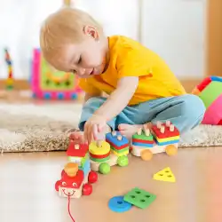 認知的な子供たちを訓練する1おもちゃ-3ビルディングブロック2初期の小さな形はドラッグの女の子と男の子に1歳の子供を組み立てるように教えます