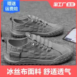 夏のキャンバスメンズシューズ2021新しいドライビングアイスシルク古い北京の靴メンズトレンディな靴怠惰なワンペダル労働保険の靴