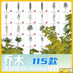 115SUの木と植物3D高品質skpモデルレンダリングランドスケープアーキテクチャデザインスケッチマスターマテリアル