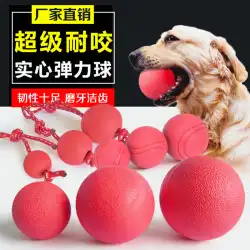 ウベカトレーニング犬咀嚼ボールペットおもちゃボールかみ傷に強いボールソリッドトレーニング弾性ボール犬モル犬のおもちゃ