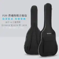 エレクトリックギター楽器2020レトロプラスネストされたパッケージキャンバスギターボックス男性と女性の収納バッグバッグバッグ防湿