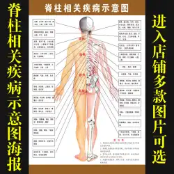 脊髄関連疾患人体経絡ツボ地図漢方薬健康画像ポスター661