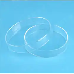 Wuyiガラスペトリ皿200mmガラスペトリ皿セルペトリ皿請求可能シングルセット価格