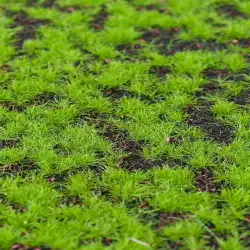 人工芝本物のプラスチックカーペット偽物人工芝屋外柵芝シーンウィンドウディスプレイXディスプレイ盆栽偽苔