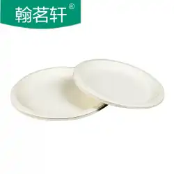 使い捨て紙皿ラウンド8インチプレート白いケーキプレート手作り素材diy幼稚園絵画